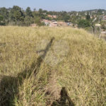 Terreno no Bairro Monterrey