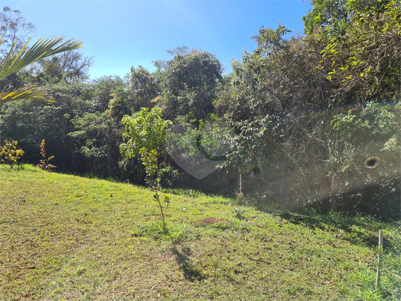 Terreno à venda em Bosque, Vinhedo, SP