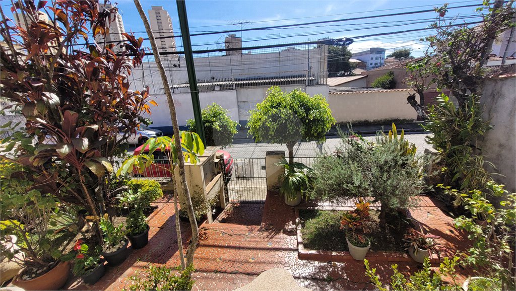 Casa à venda com 3 quartos em Vila Bonilha, São Paulo, SP