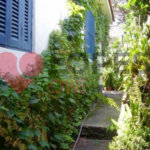 Casa à venda com 3 quartos em Casa Verde, São Paulo, SP