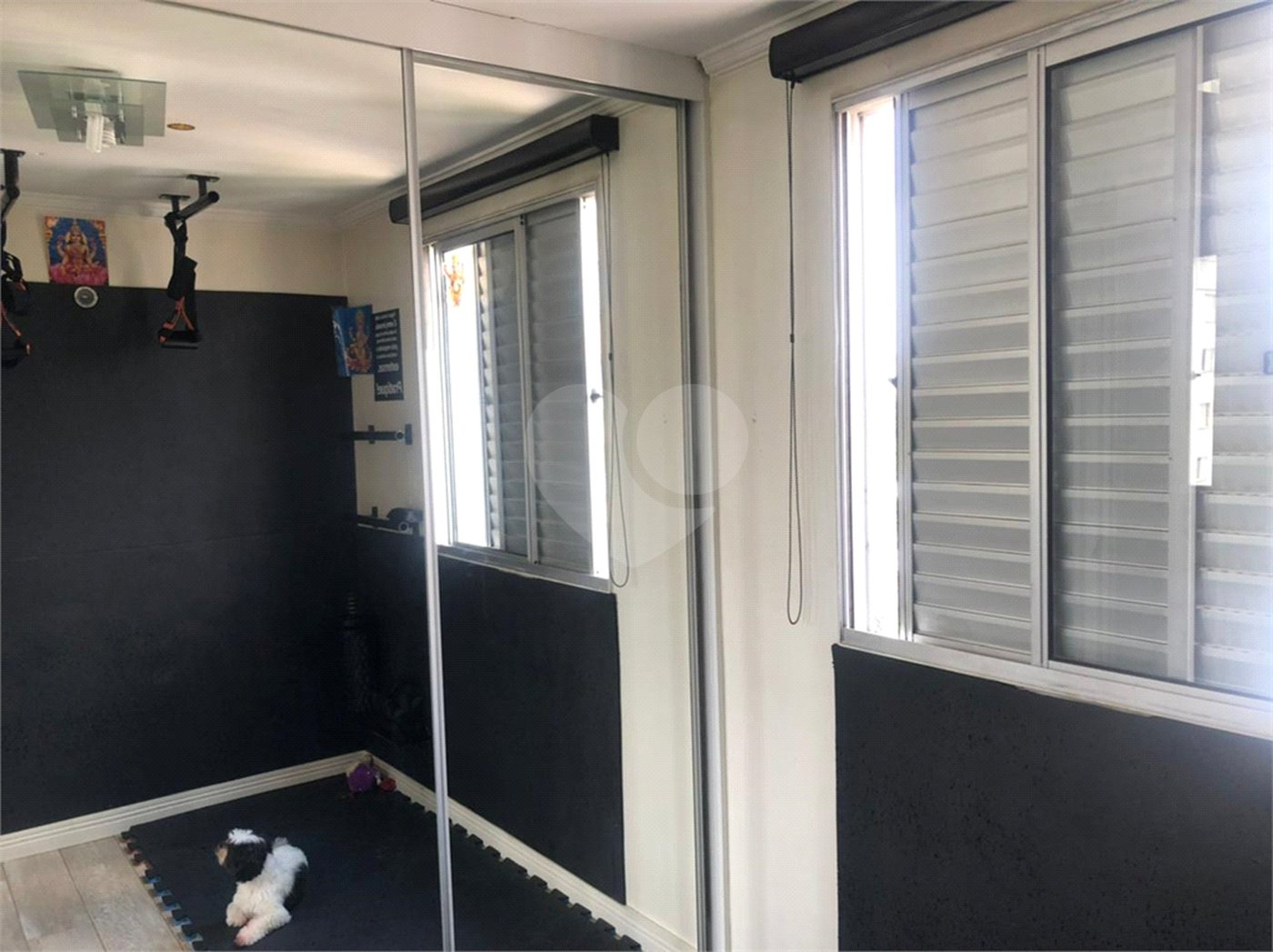 Apartamento à venda com 3 quartos, sendo 1 suíte,  em Parque Novo Mundo, São Paulo, SP