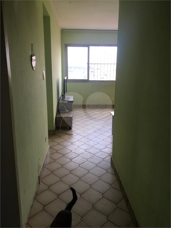 Apartamento para alugar com 3 quartos em Tucuruvi, São Paulo, SP