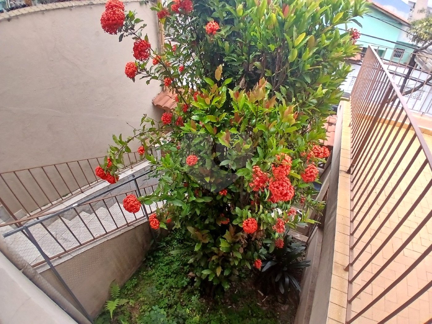 Sobrado à venda com 2 quartos em Vila Mazzei, São Paulo, SP