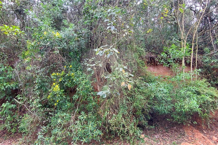 Terreno à venda no condomínio Alpes da Cantareira, Mairiporã - SP