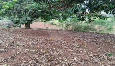 Terreno à venda em Chácara Fernão Dias, Bragança Paulista, SP