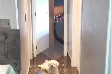 Apartamento à venda com 2 quartos, sendo 1 suíte, em Jardim Flor da Montanha, Guarulhos, SP