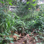 Loteamento à venda em Jardim Amália, São Paulo, SP