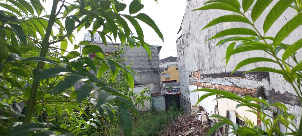 Terreno à venda em Vila Maria, São Paulo, SP