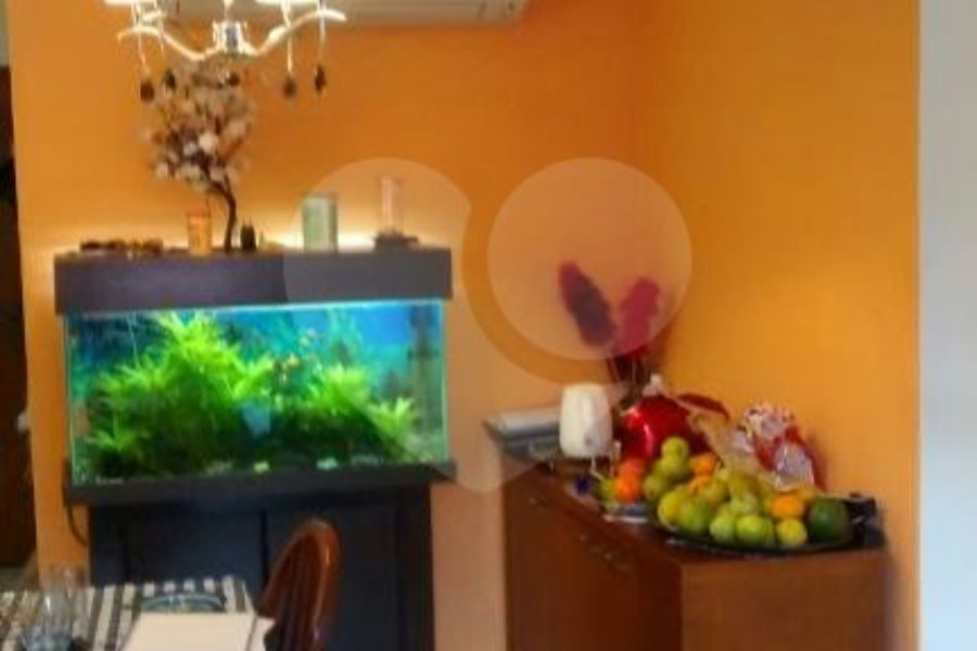 Apartamento à venda com 3 quartos, sendo 1 suíte, em Jaçanã, São Paulo, SP