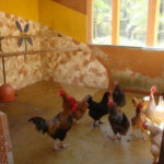 Sobrado à venda com 5 suítes em Juqueri Mirim, Mairiporã, SP