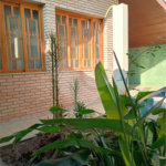 Casa Térrea à venda com 3 quartos, sendo 1 suíte, em Mandaqui, São Paulo, SP
