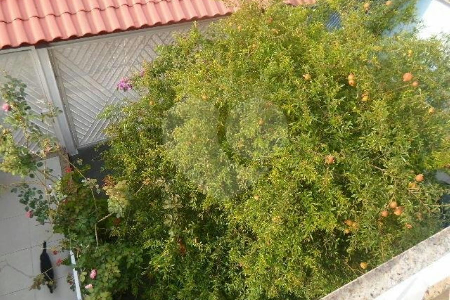 Sobrado à venda com 3 suítes em Vila Isolina Mazzei, São Paulo, SP