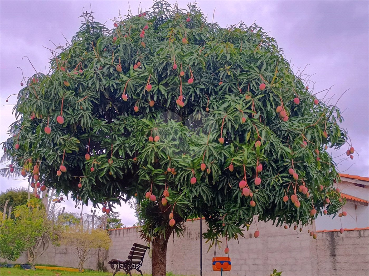 Chácara à venda com 3 quartos, sendo 1 suíte, em Pavão (canguera), São Roque, SP