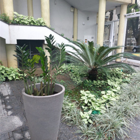 Apartamento à venda com 3 quartos, sendo 1 suíte, em Vila Monumento, São Paulo, SP