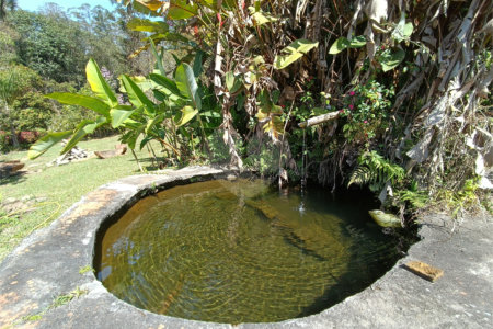 Chácara à venda com 4 quartos em Jardim Cardoso (mailasqui), São Roque, SP