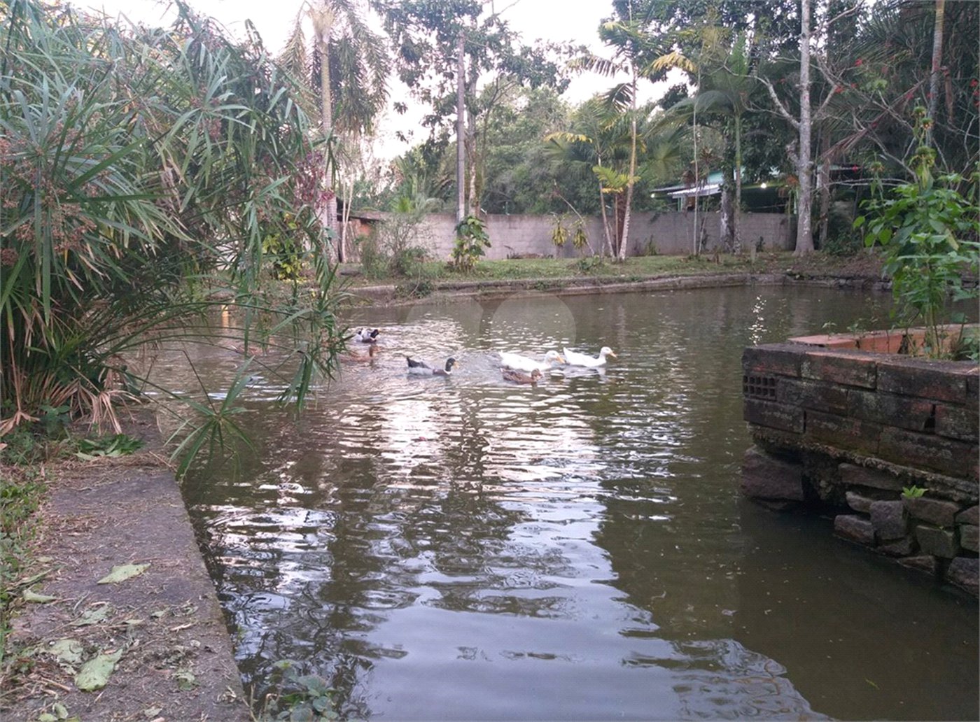 Sítio à venda com 5 quartos, sendo 2 suítes,  em Parque Recreio Dom Pedro Ii (guia de Pacobaíba), Magé, RJ