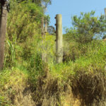 Chácara à venda com 1 quarto em Cruz das Almas, Biritiba-mirim, SP