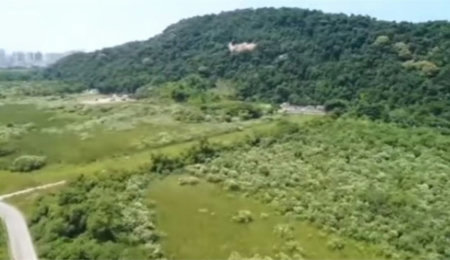 Terreno Comercial à venda, Cing, Guarujá - TE0003.