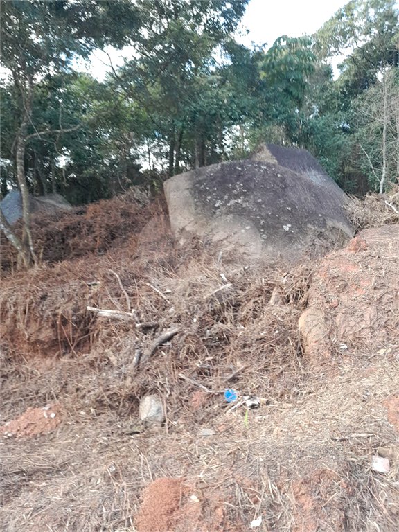 Terreno à venda no condomínio Itaguaçu da Cantareira, São Paulo - SP