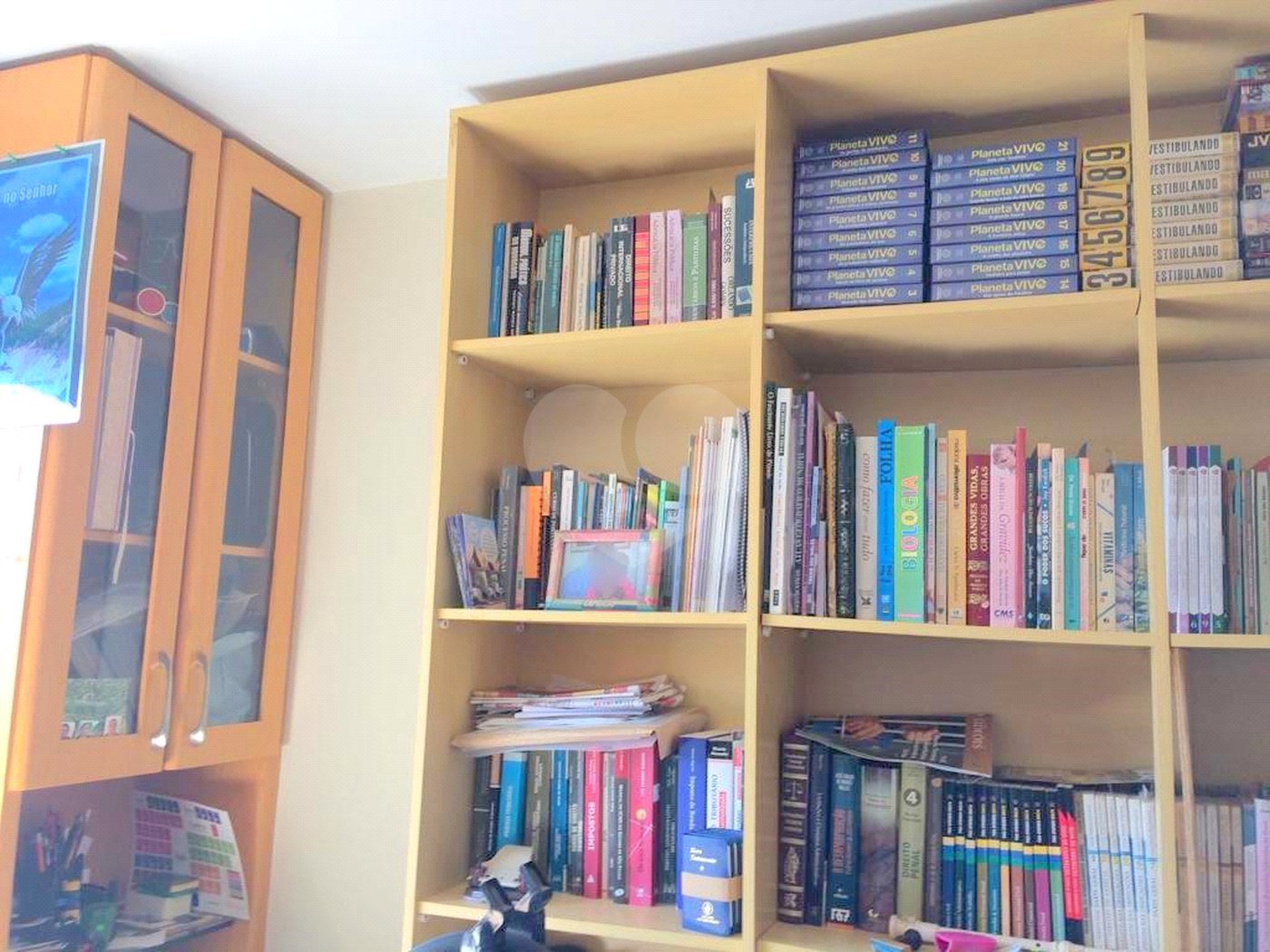 Apartamento para venda localizado no Brás