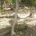 Terreno à venda em Aguazul, Guarulhos, SP