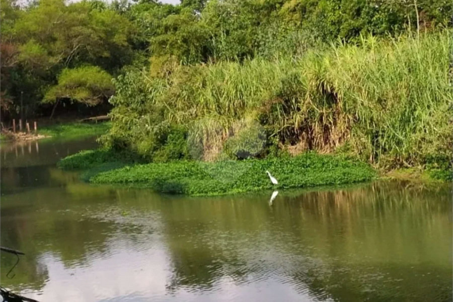 Chácara à venda com 5 quartos, sendo 2 suítes, em Chácara Recreio Danubio, Holambra, SP