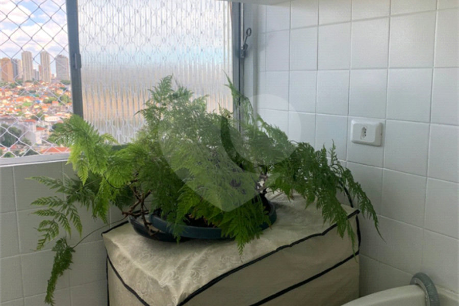 Apartamento à venda com 2 quartos em Mandaqui, São Paulo, SP