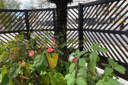 Apartamento Residencial à venda, Embaré, Santos - AP0861.