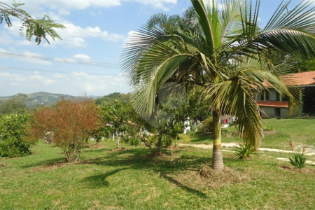 Chácara à venda com 3 quartos, sendo 1 suíte,  em Planalto Verde, São Roque, SP
