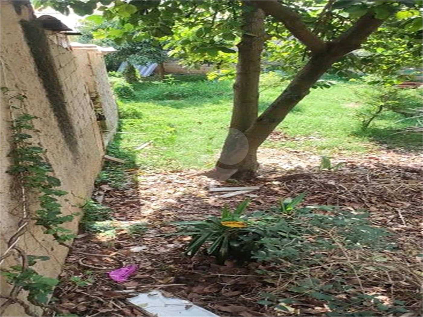Terreno à venda em Vila Nova Mazzei, São Paulo, SP