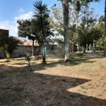 Casa Térrea à venda com 4 quartos em Vila Ernesto, São Paulo, SP