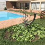 Sobrado à venda com 5 quartos, sendo 1 suíte, em Jardim São Bento, São Paulo, SP