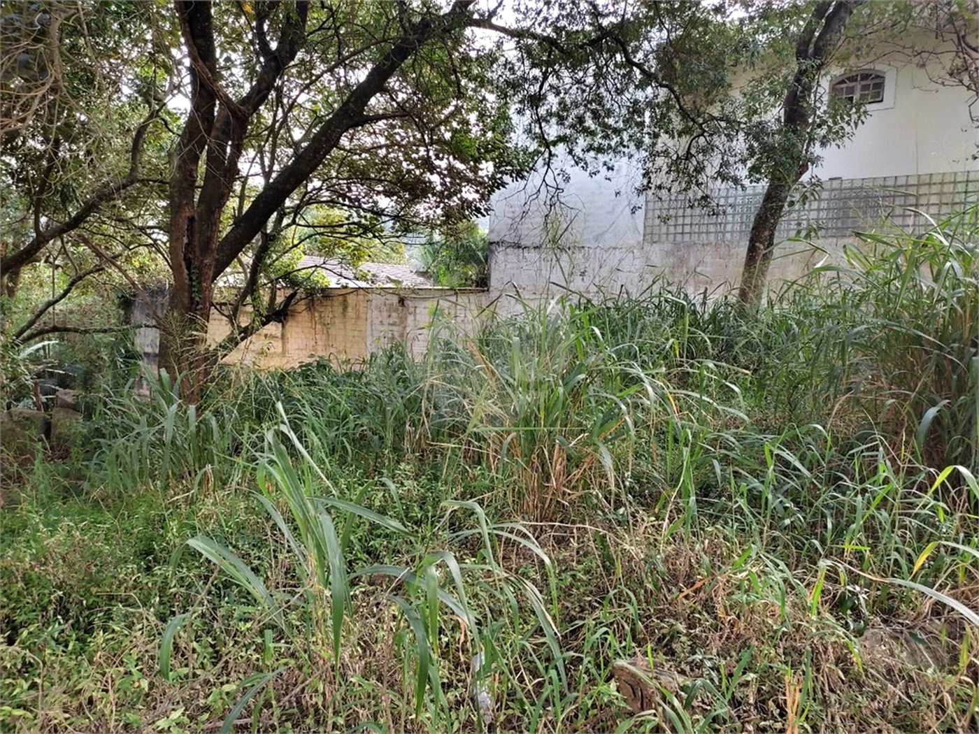 Terreno à venda em Tucuruvi, São Paulo, SP