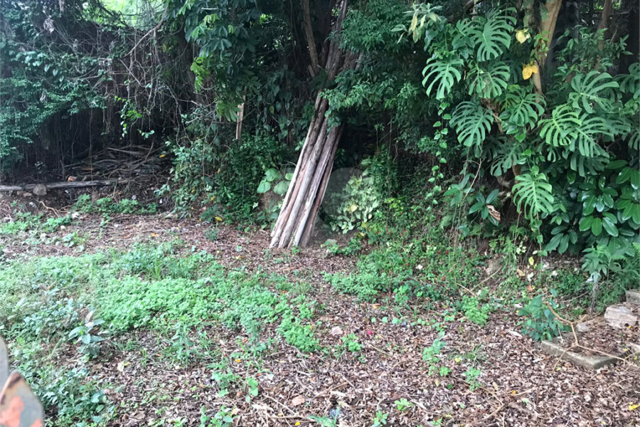 Terreno à venda em Horto Florestal, São Paulo, SP