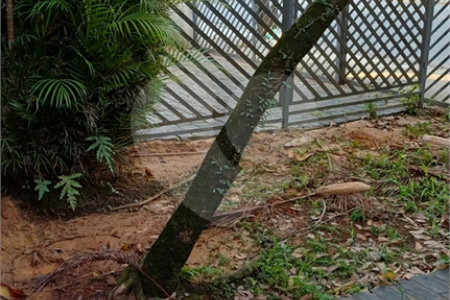 Sobrado à venda ou para alugar com 5 quartos, sendo 1 suíte,  em Vila Ida, São Paulo, SP