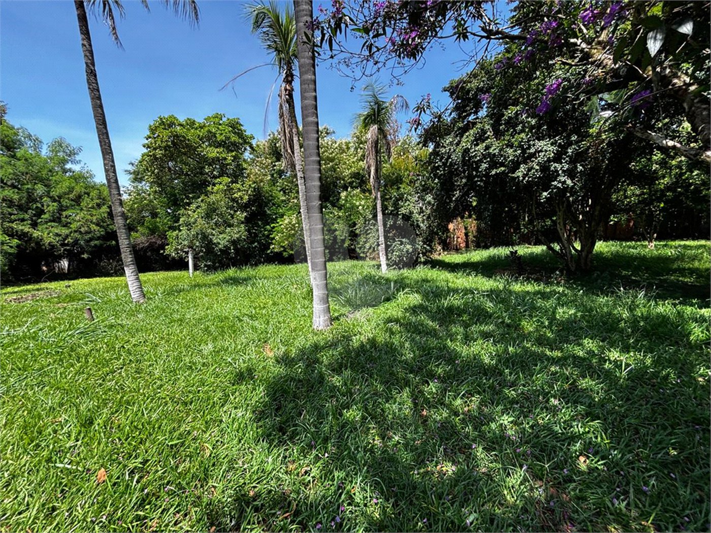 Chácara à venda em Loteamento Terras de São Pedro e São Paulo, Salto, SP