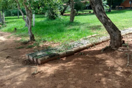 Sítio à venda com 2 quartos, sendo 1 suíte,  em Rural, Três Lagoas, MS