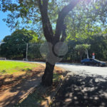 Terreno à venda no condomínio Buona Vita Ribeirão Preto, Ribeirão Preto - SP