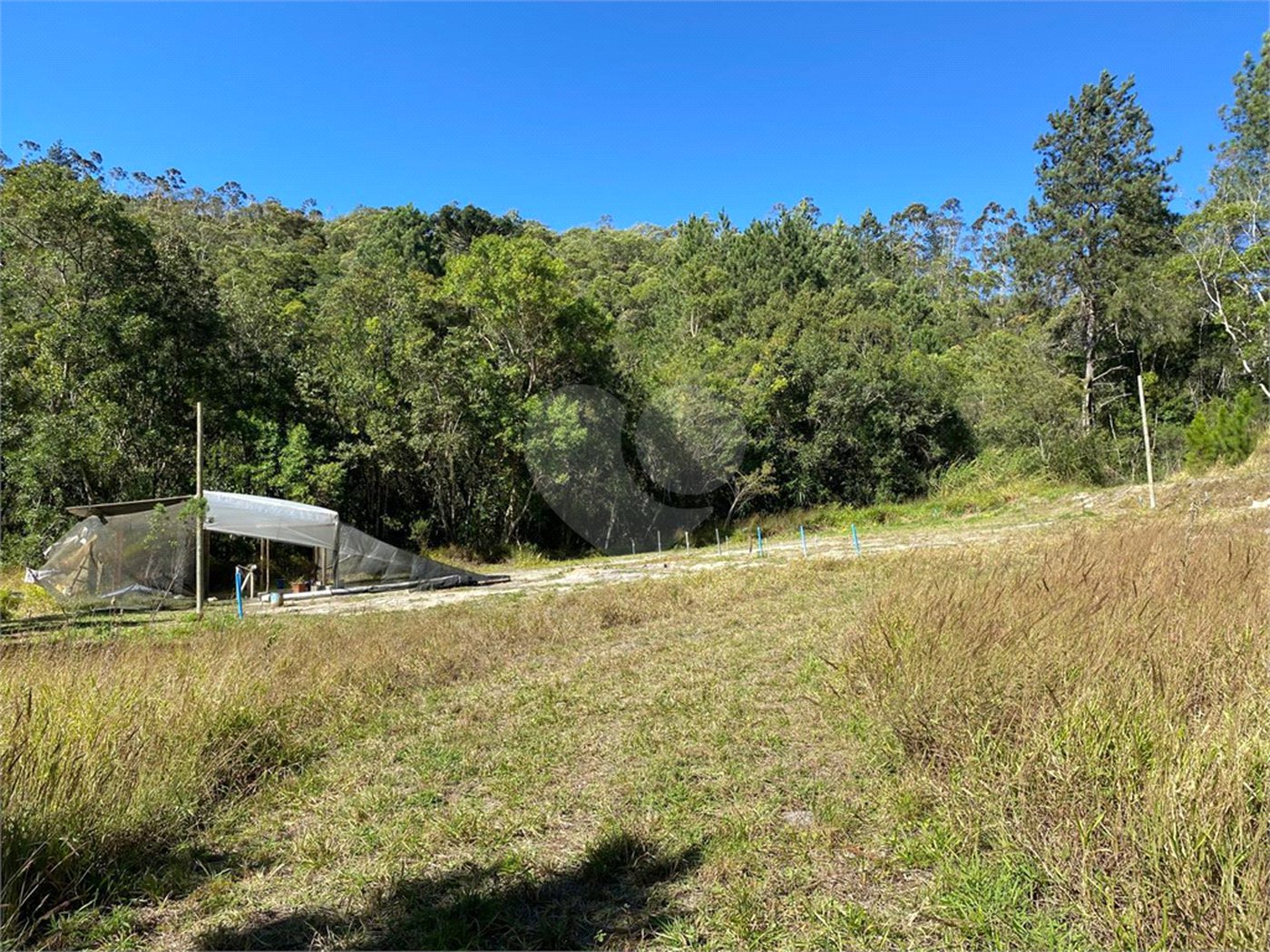 Sítio à venda com 2 quartos, sendo 1 suíte, em Ibiúna, Ibiúna, SP