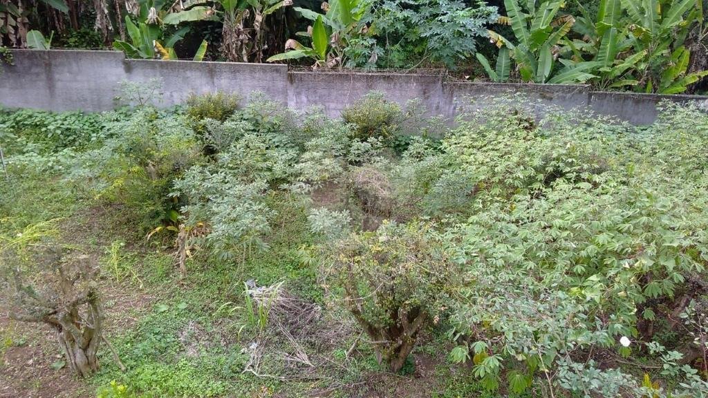 Fazenda à venda em Horto, São Paulo, SP