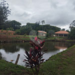 Chácara à venda com 3 quartos, sendo 1 suíte, em Chácara Flora Araraquara, Araraquara, SP