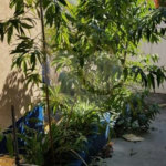 Casa Residencial Vila Mariana