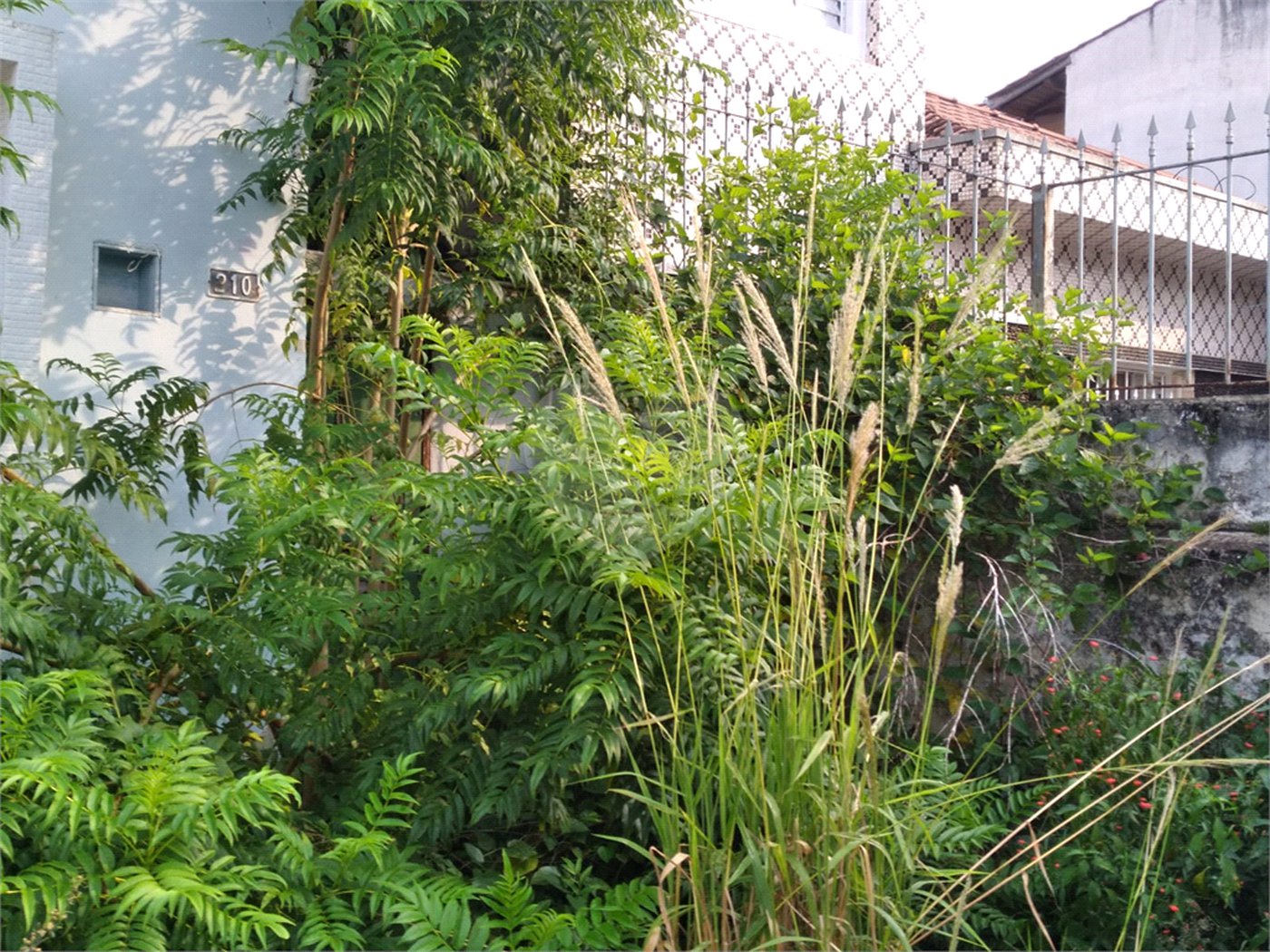 Terreno à venda em Vila Nivi, São Paulo, SP
