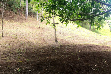Sítio à venda no Centro, Monte Sião, MG