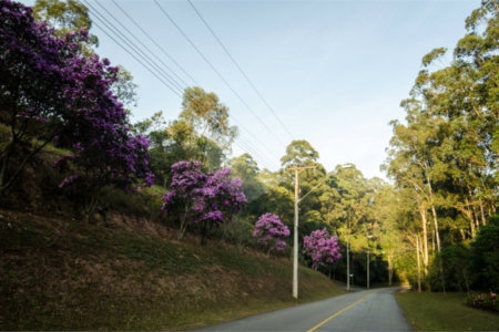 Terreno à venda com 1 quarto no condomínio Ecovile Araçariguama, Araçariguama - SP