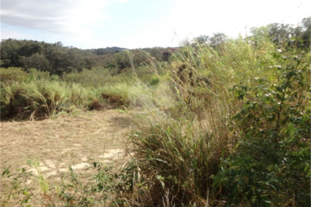 Terreno à venda ou para alugar em Cachoeira, Vinhedo, SP