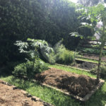 Sobrado à venda com 5 quartos, sendo 1 suíte, em Jardim São Bento, São Paulo, SP