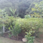 Chácara à venda com 5 quartos, sendo 1 suíte, em Jardim Marabá, Itapetininga, SP