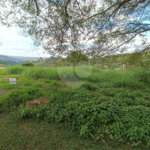 Terreno à venda em Taipas de Pedras (mailasqui), São Roque, SP