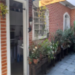 Casa à venda com 4 quartos, sendo 1 suíte,  em Limão, São Paulo, SP
